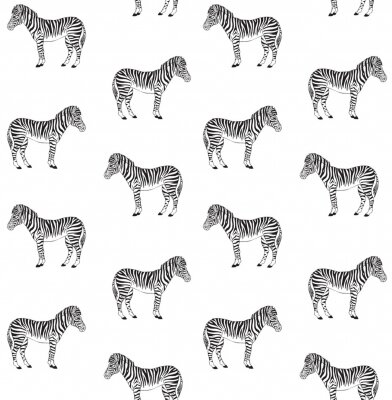 Behang Zwart-wit zebra patroon op witte achtergrond