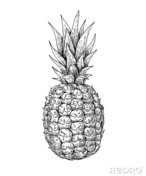 Behang Zwart-witte ananas