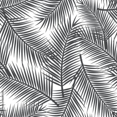 Behang Zwart-witte bladeren in een minimalistische stijl