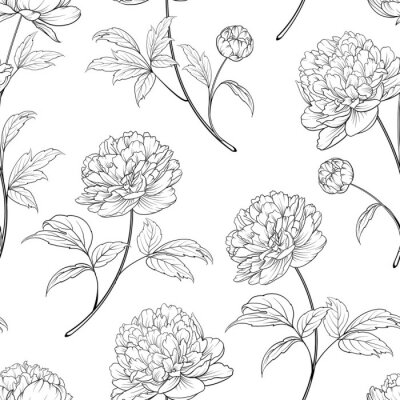 Behang Zwart-witte bloemen en bladeren van pioenrozen