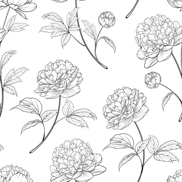 Behang Zwart-witte bloemen en bladeren van pioenrozen