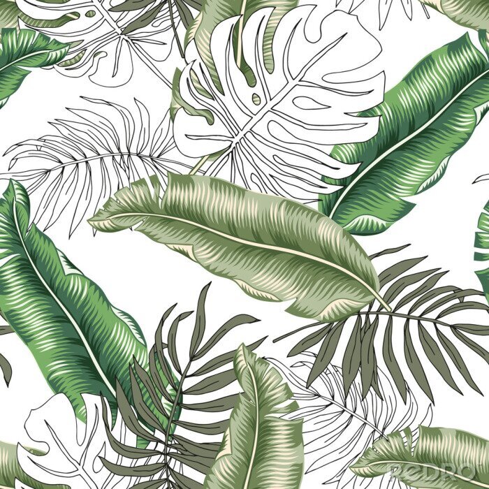 Behang Zwart-witte en groene tropische bladeren