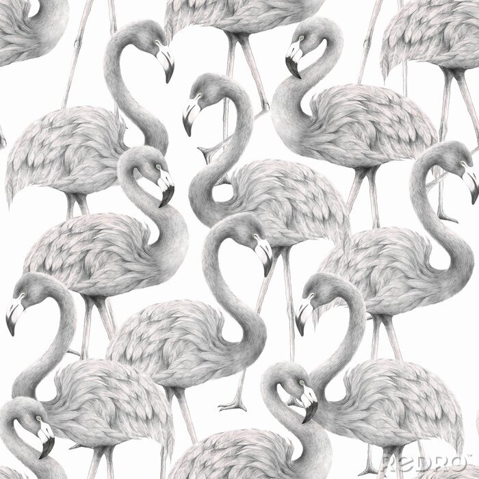 Behang Zwart-witte flamingo's