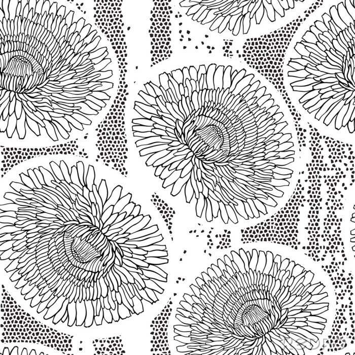 Behang Zwart-witte paardenbloemen op een tekening