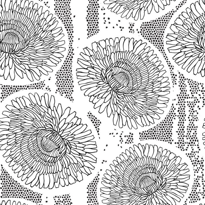 Behang Zwart-witte paardenbloemen op een tekening