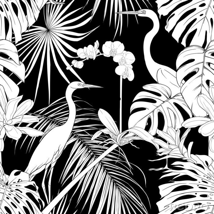 Behang Zwart-witte vogels tussen tropische vegetatie