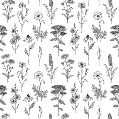 Behang Zwart-witte wilde bloemen