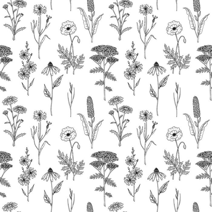 Behang Zwart-witte wilde bloemen