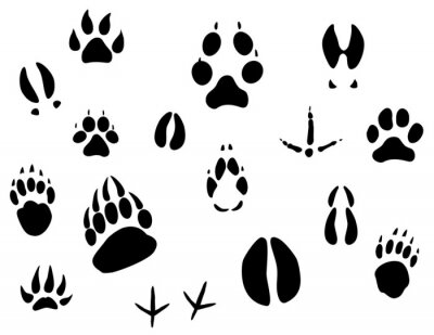 Zwarte voetafdrukken van verschillende diersoorten