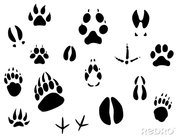 Behang Zwarte voetafdrukken van verschillende diersoorten
