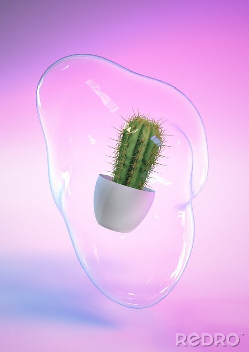Canvas 3D render of Cactus plant with soap bubble and blue and pink neon background. Contemporary style. Iridescent colors.
