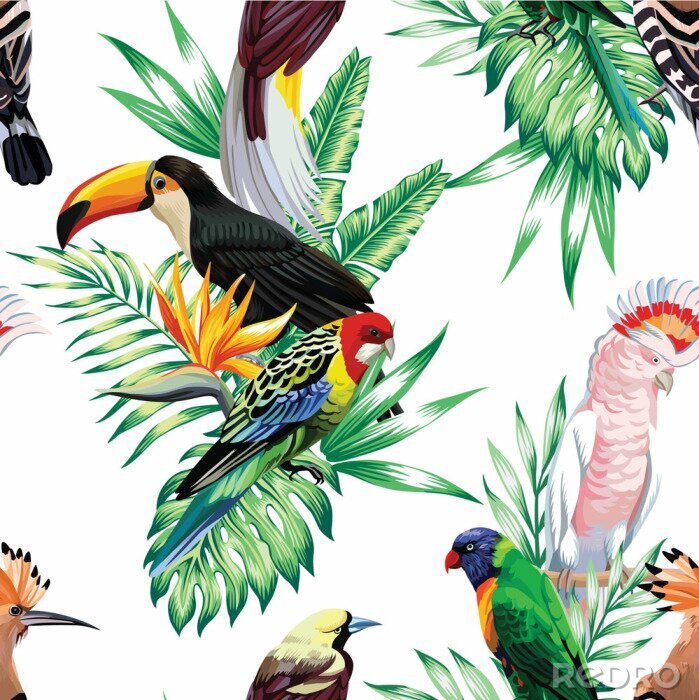 Canvas 3D vogels en Afrikaanse dieren