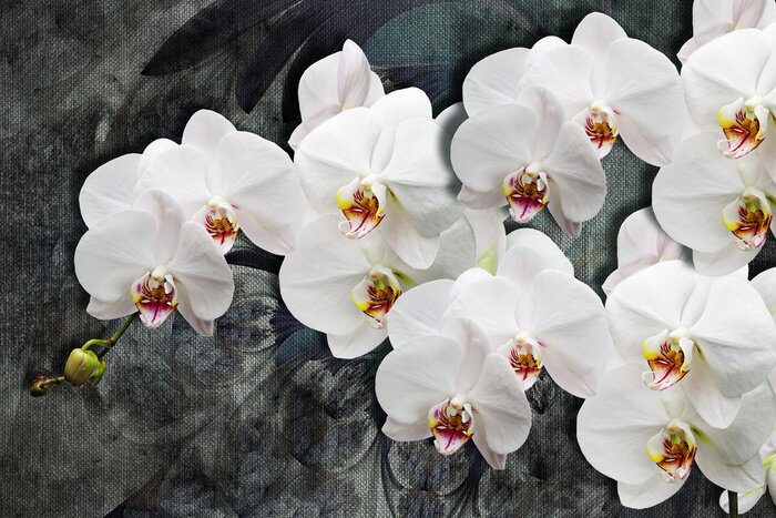 Canvas 3D witte orchideeënbloemen op een donkere achtergrond