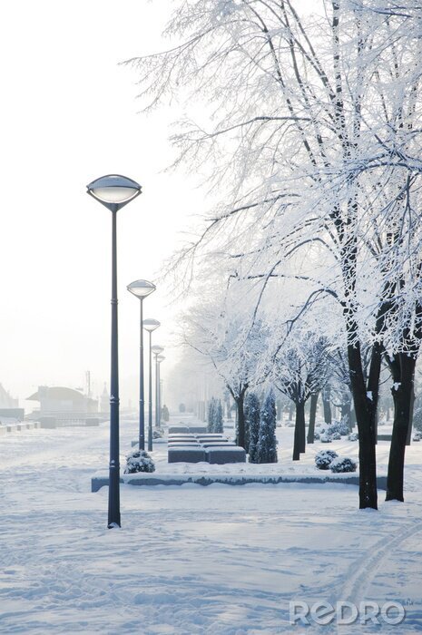 Canvas A Winter scene in Dnipro. Winter city, frosty morning. Ukraine