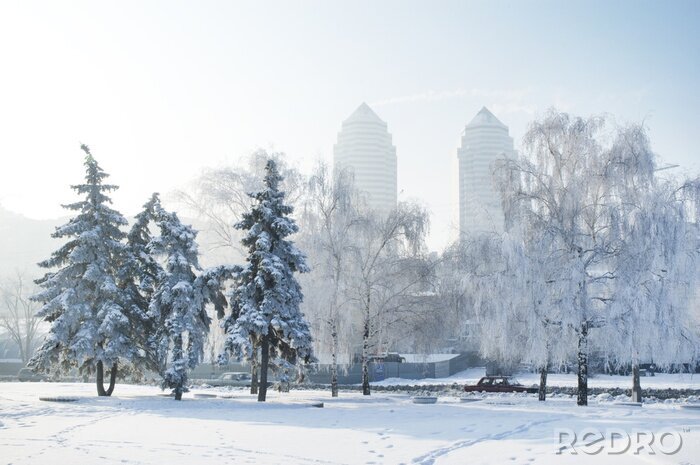 Canvas A Winter scene in Dnipro. Winter city, frosty morning. Ukraine