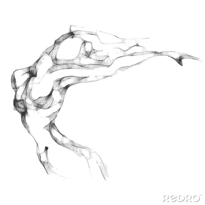 Canvas Abstractie van erotische vrouw