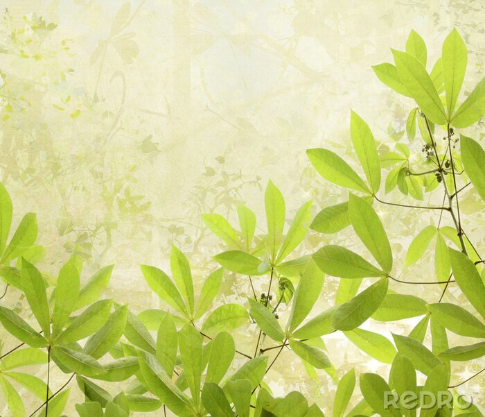 Canvas Achtergrond met groene natuur