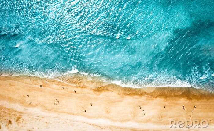 Canvas Aerial photo of summer beach and blue ocean with sky. 