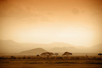 Afrikaanse savanne bij zonsopgang
