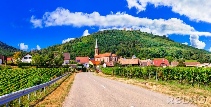 Canvas Alsace region of France - famous &quot;Vine route&quot; . beautiful vineyards and traditional vilage Husseren les chateaux