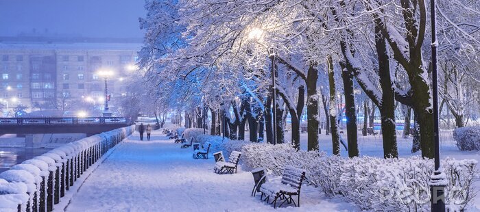 Canvas Amazing winter night landscape of snow covered bench among snowy trees and shining lights during the snowfall. Artistic picture. Beauty world. Panorama