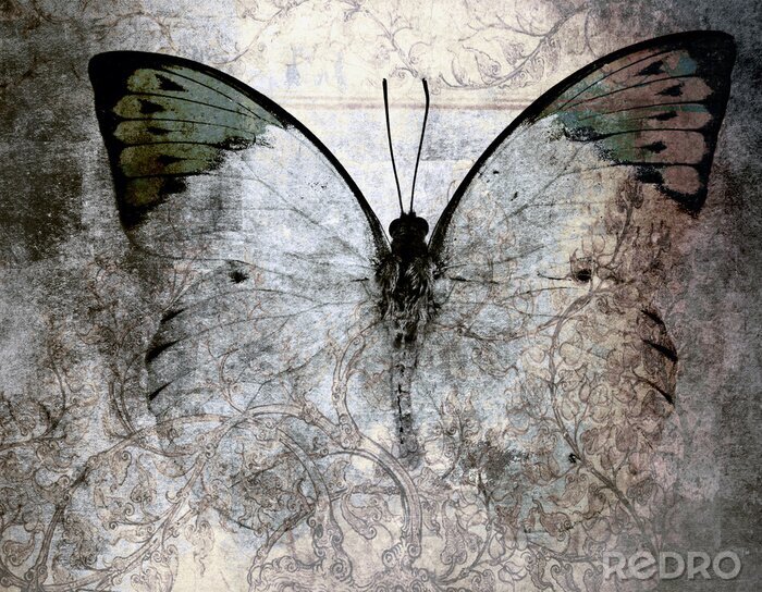 Canvas Antieke achtergrond en vlinder