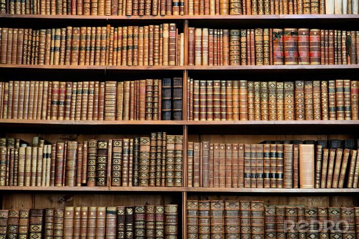 Canvas Antieke boekenrekken in een oude bibliotheek in Wenen