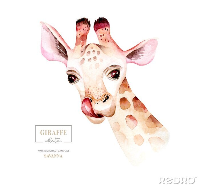 Canvas Aquarel giraffe hoofd
