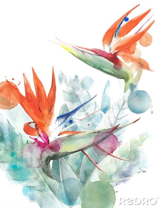 Canvas Aquarel kleurrijke bloemen