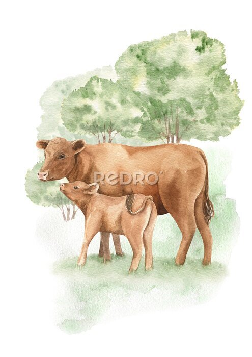 Canvas Aquarel koeien voor kinderen