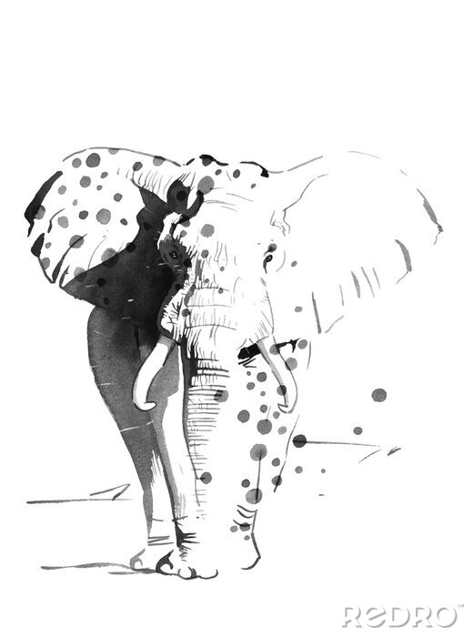 Canvas aquarel olifant