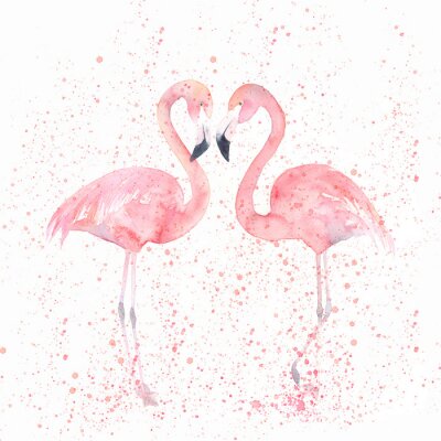 Aquarel roze flamingo vogels