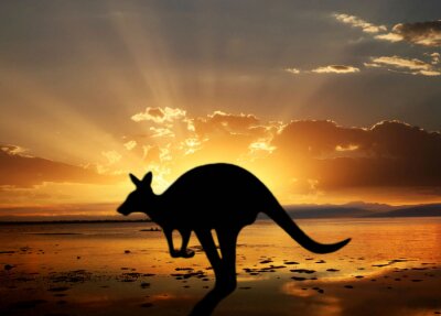 Australisch dier op de achtergrond van de zon