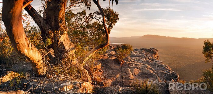 Canvas Australische Bush Landschap