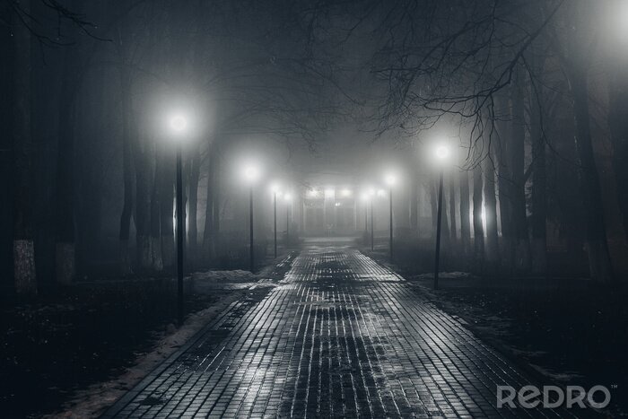 Canvas Autumn city park at night in fog