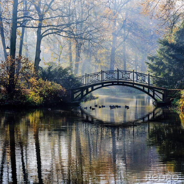Canvas Autumn - Oude brug in het najaar mistige park
