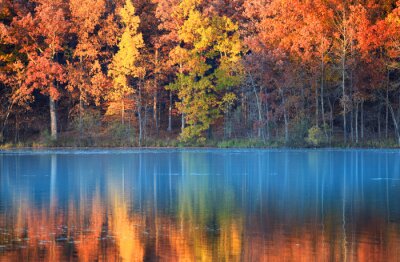 Canvas autumn reflections