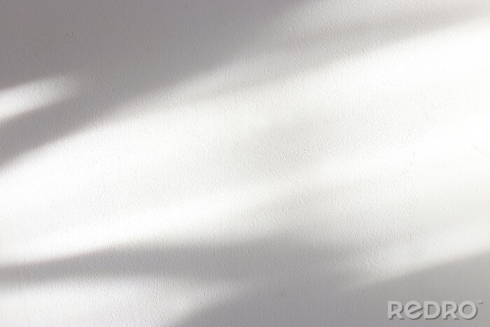 Canvas background of organic shadow over white textured wall