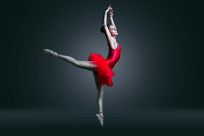 Canvas Balletdanser
