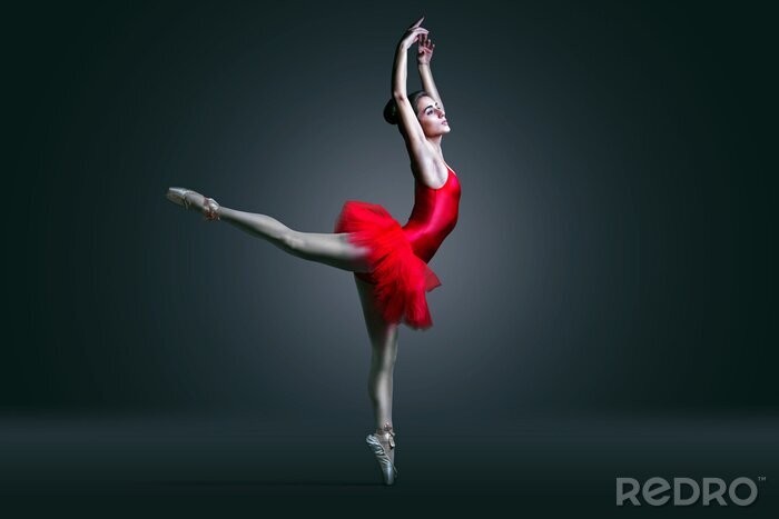 Canvas Balletdanser