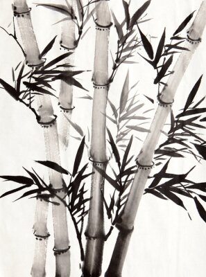 Bamboe met duidelijke zwarte bladeren