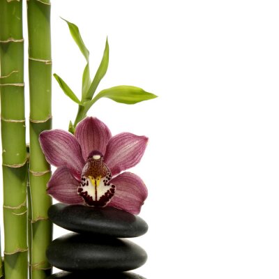 Bamboe stenen en orchideeën