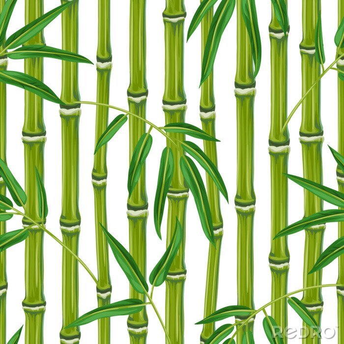 Canvas Bamboe van dichtbij