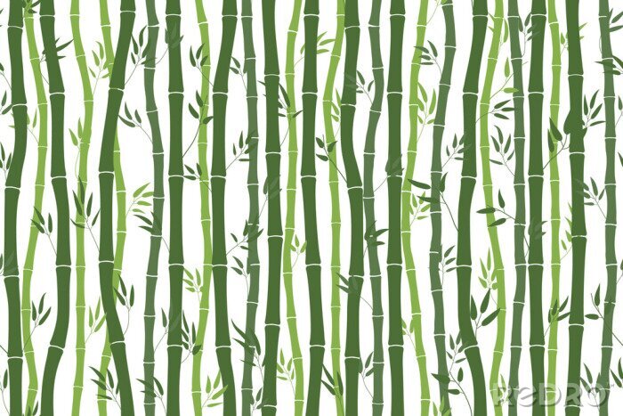 Canvas Bamboestengels met bladeren