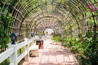 Canvas Bamboo tunnel in de tuin, Thailand