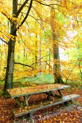 Canvas Bankje tussen de herfstbomen