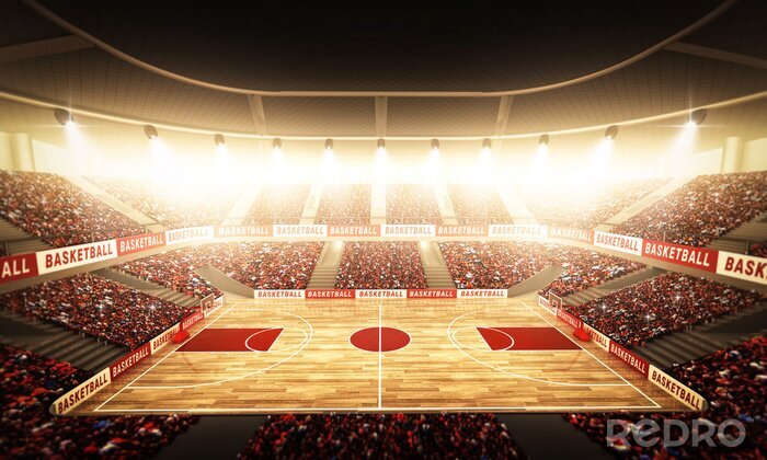 Canvas Basketball arena