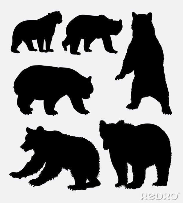 Canvas Bear wild dier silhouet 6. Goed gebruiken voor symbool, logo, web pictogram, mascotte, teken, sticker, of een ontwerp dat u wilt. Makkelijk te gebruiken.
