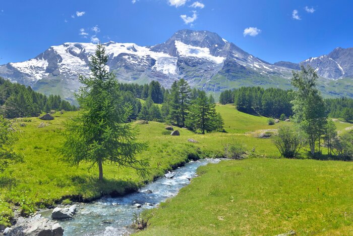 Canvas Beautiful scenic ladscape in alpine mountain snowy and greenery meadow with a little river