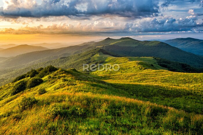 Canvas Beautiful summer mountain landscape. Green meadow and the blue sky. Polonina Wetlinska, Bieszczady, Carpathians, Poland.
